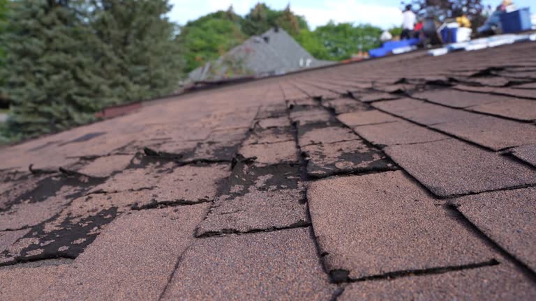 Best Wood Shake Roofing  in Whitmire, SC