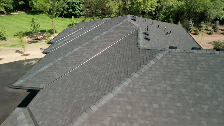 Best Skylight Installation and Repair  in Whitmire, SC