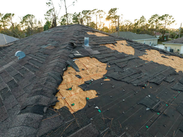 Best Storm Damage Roof Repair  in Whitmire, SC